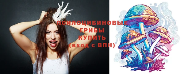 а пвп мука Снежинск