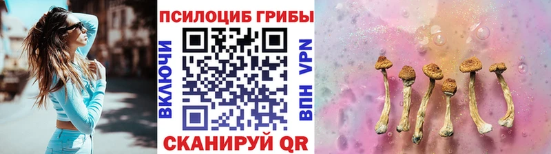 магазин продажи наркотиков  MEGA зеркало  Галлюциногенные грибы Cubensis  Заринск 