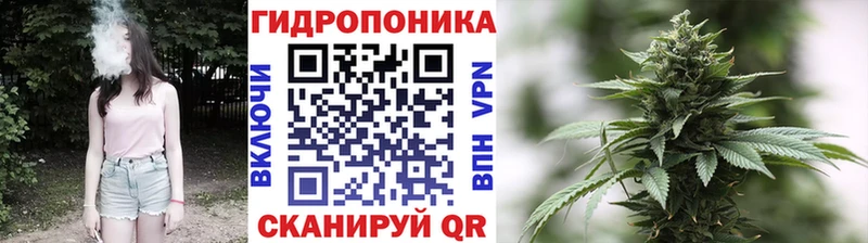 Бошки марихуана Ganja  нарко площадка наркотические препараты  Заринск 